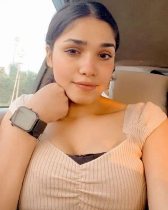 Ludhiana Escort Service